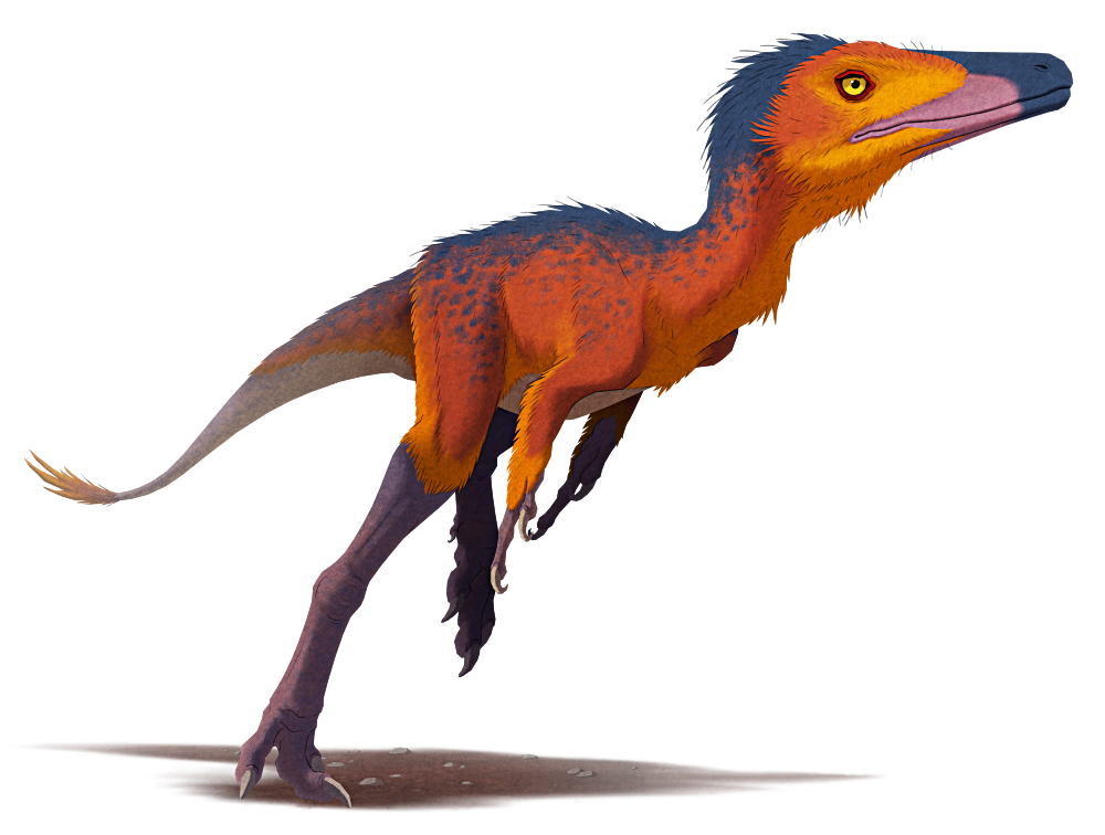 Compsognathus