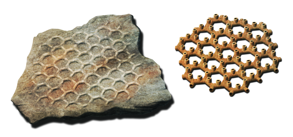 An illustration of both a fossil example and the reconstructed internal structure of the enigmatic Paleodictyon, a hexagonal network of tunnels in seafloor sediment created by an unknown organism.