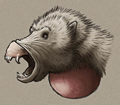 A shaded sketch of the head of a speculative descendant of geladas, showing its upper lip flipped up to display its teeth and gums, and an inflated red throat pouch.