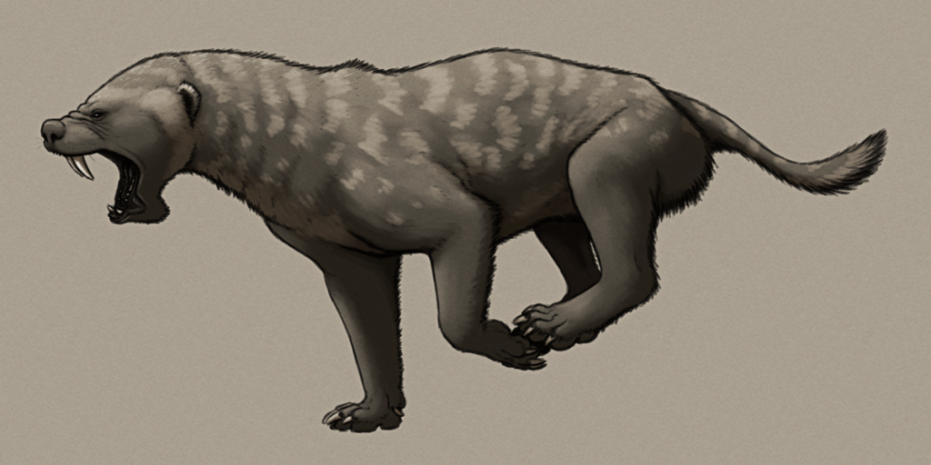 A shaded sketch of a speculative descendant of honey badgers. It's a somewhat cat-like animal with a short snout, long saber-teeth, small ears, semi-digitigrade limbs, a mottled coat, and a short tail.