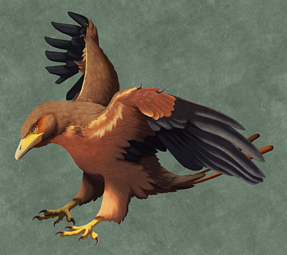 An illustration of the extinct Cretaceous bird Avisaurus, posed with its wings flapping, its head down, and its talons reaching out as if aiming for a prey animal. It resembles a hawk with claws on its wings and no tail fan, instead having a couple of longer streamer-like feathers on its rear. It's depicted with reddish-brown coloration with darker flight feathers and a paler underside.