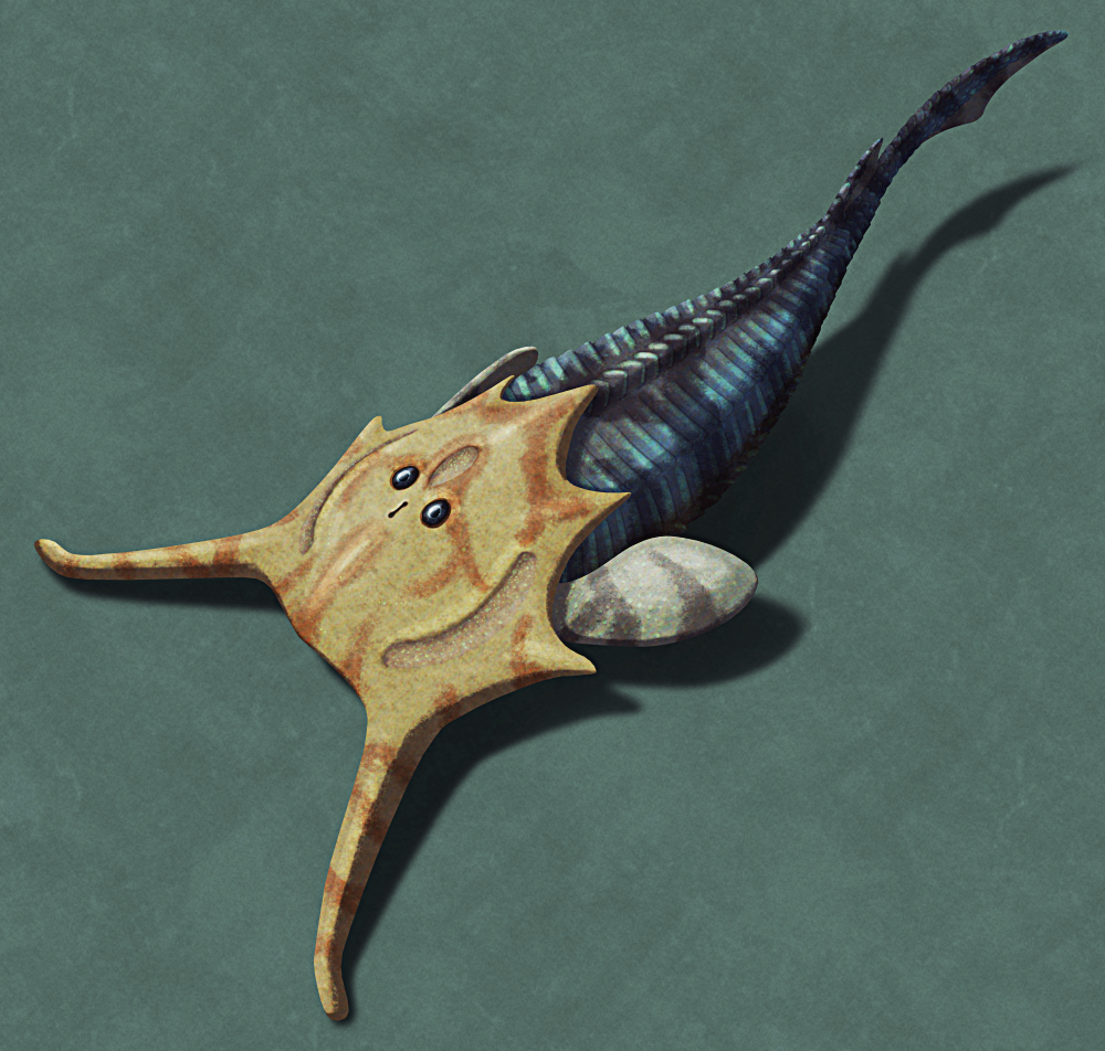 An illustration of the extinct jawless fish Tauraspis. It has a large flattneed bony shield coverings it head, with a pair of long slightly curving "bull horns" at the front, two small upwards-facing closely-set eyes, and a small keyhole-shaped nostril opening. Just behind the head it has a pair of paddle-like pectoral fins and a tapering body covered in rows of large scales. There's a small dorsal fin just before its triangular tail fin. It's depicted with a yellow head and blue body, with darker blotches and stripes.