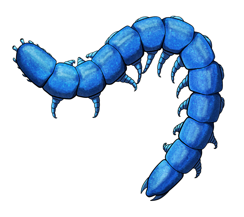 Waukartus