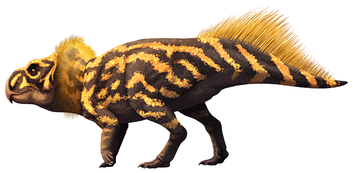Ferenceratops