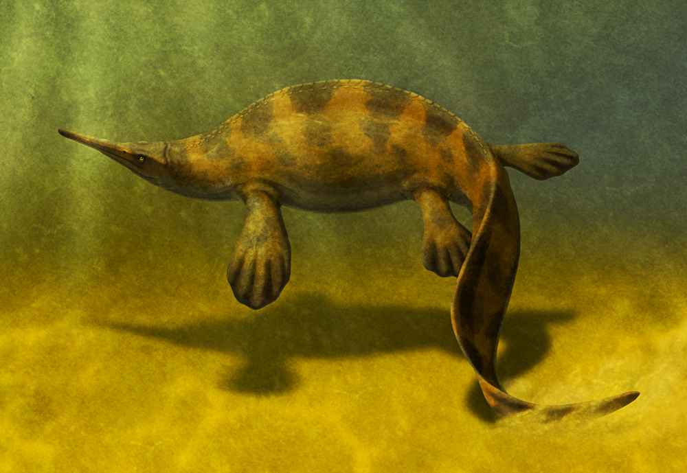An illustration of the extinct marine reptile Lentamanusuchus swimming in silty water. It has a long beak-like toothless snout, a streamlined body with a row of small armor plates along its spine, four large broad paddle-like flippers, and a long eel-like tail. It's depicted colored mottled brown.
