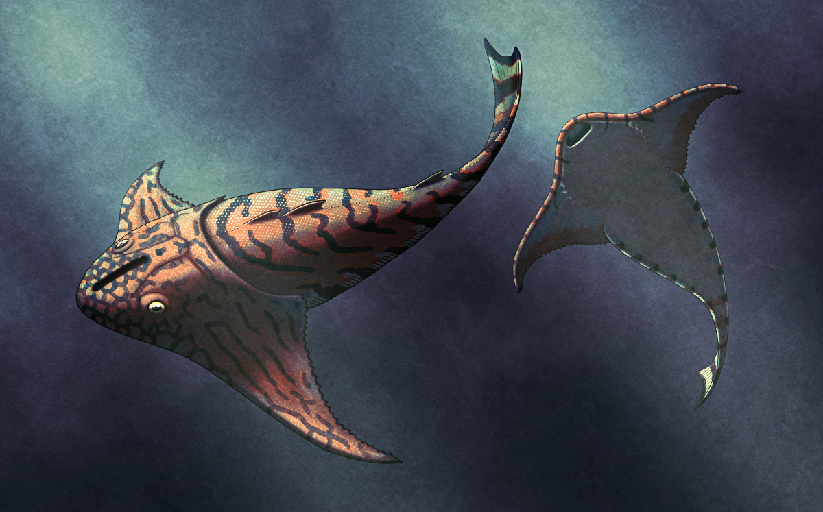 Bataspis