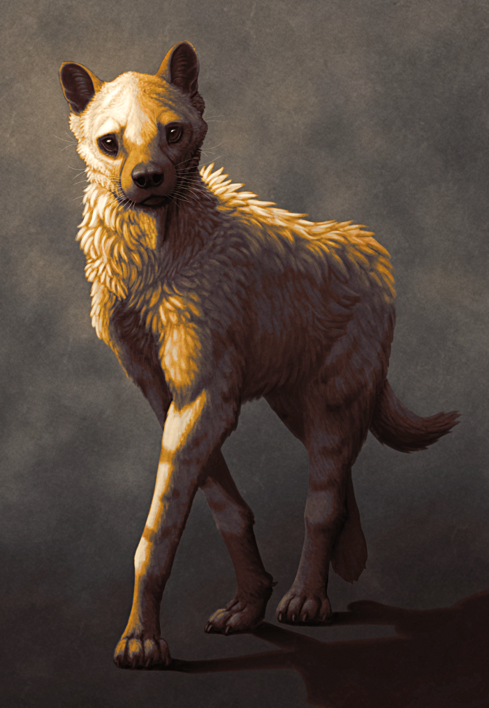 An illustration of the extinct hyena Ictitherium, in a walking pose with dramatic lighting. It's built more like a maned wolf than a modern hyena, with long legs and a small head.