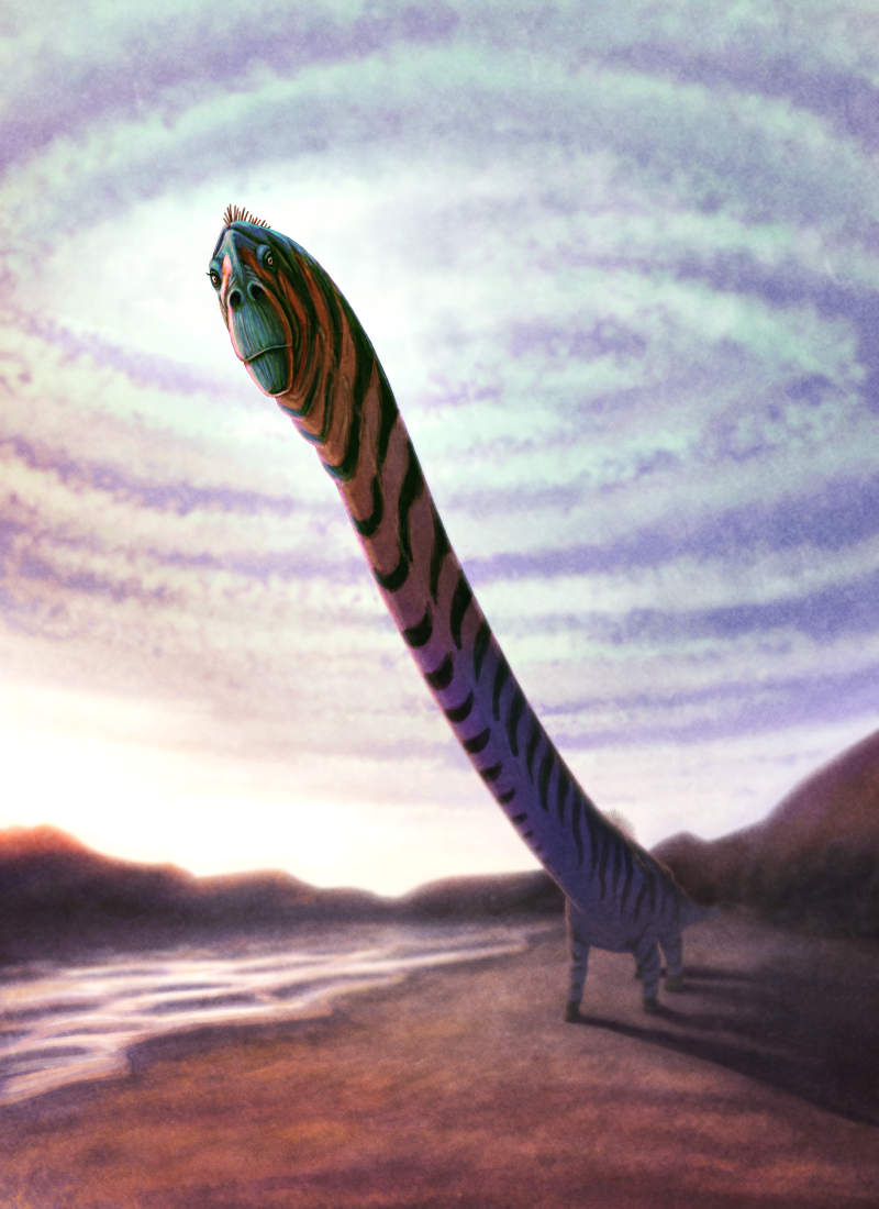 An illustration of the extinct sauropod dinosaur Mamenchisaurus, in an extreme perspective view with its head silhouetted against the sky and its long neck and body receding into the background. It's depicted with dark striped markings over an orange head and a greyish-purple body.