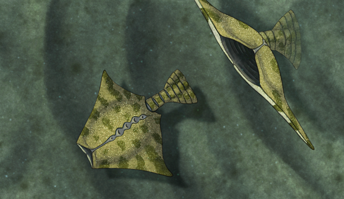 An illustration of a speculative vetulicolian, showing two individuals swimming above the seafloor. They're shaped vaguely like eyeless stingrays, with a single row of gill openings running along what appears to be their backs (but is actually their left sides), segmented horizontal fish-like tails, and camouflage coloration.