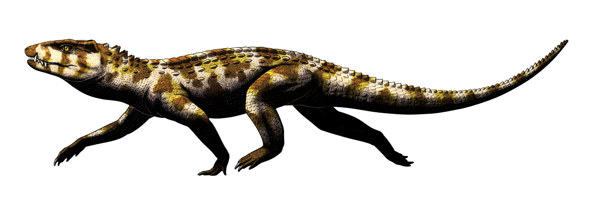 Ogresuchus